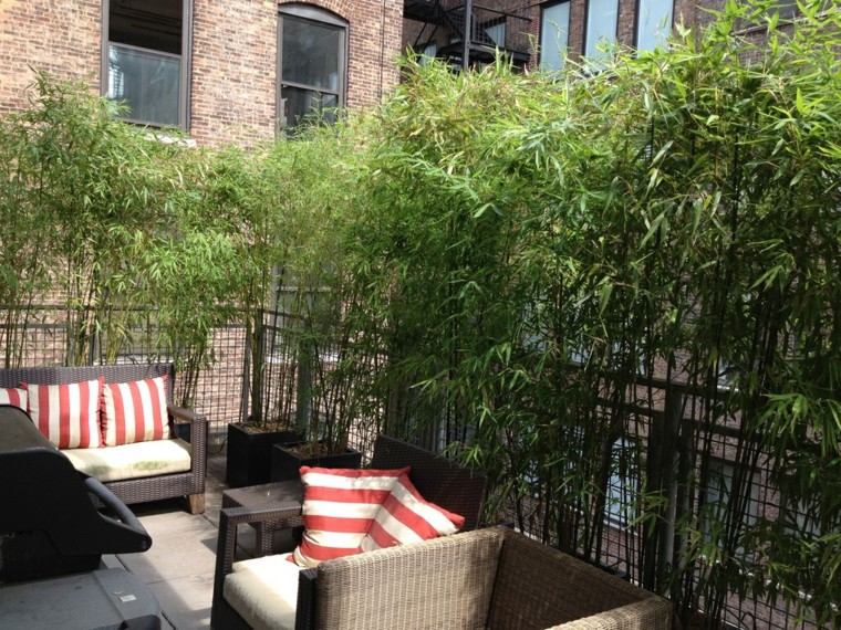 terraza con bambú