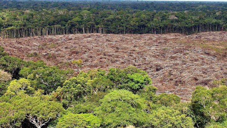 Deforestacion 2