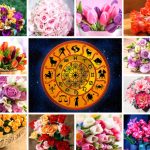 Flores del zodiaco
